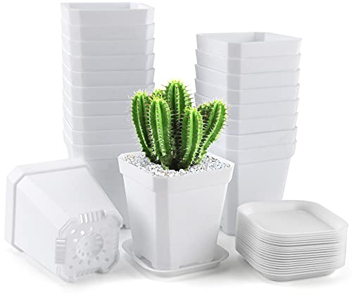 Yilyln Vasi per la Coltivazione 7 x 7 x 8 CM, 20 Pezzi Con Sottovasi, per Piante e Fiori Addensati, Quadrati di Plastica, per Semi (Bianco)