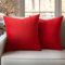 Slozzi 2er Set Samt Kissenbezüge Haushalt Dekokissen Dekorative Kissenhülle Weich Sofakissen für Sofa Schlafzimmer Wohnzimmer 40x40 cm Rot