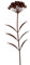 UNUS Gartendeko Gartenstecker aus Edelrost Metallblume 103 cm 3D Optik für Garten Balkon Terrasse
