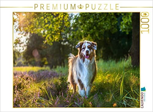 CALVENDO Puzzle In der Heide... 1000 Teile Puzzle quer | Lege-Größe cm Foto-Puzzle für glückliche Stunden