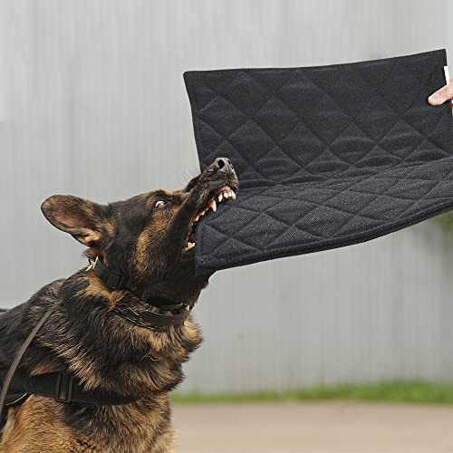 MABOZOO Unzerstörbares Hundebett – kaufeste Kistenunterlage, maschinenwaschbar, Gesteppte Matte für Aggressive Kauer, langlebig für mittelgroße Hunde, Schwarze Hundehüttenunterlage (55,9 x 88,9 cm)