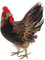 zalati Huhn-Figuren mit Feder, Sammlerstück, Tierfiguren, dekorativ für Heimdekoration, Gartenskulpturen und Statuen, Schmuck