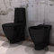 ZEYUAN Inodoro y Bidet Negros de cerámica, Inodoro Completo, Baños Completos, Toilet