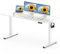 FLEXISPOT 160 x 80cm Electric Standing Desk ONE PIECE Height Adjustable Desk Sit Stand Desk with 4 Memory Smart Pannel and Backpack Hook for Home Office, (White Frame+White Desktop)