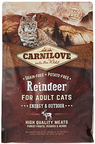 Carnilove 512256 Trockenfutter für Katzen Erwachsene Reno 2 kg Trockenfutter für Katzen (Adulto, Reno, 2 kg, Allrad)