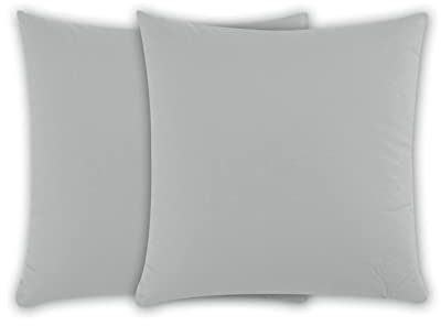 Class Home Collection Kissenbezug 40x40 Baumwolle – Kissenbezüge 40x40 im 2er Set – Weiche Kissenhüllen 40x40 für Sofa & Bett – Kopfkissenbezug für Kissen 40x40 cm mit Reißverschluss – Silber