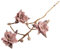 Én Gry & Sif Deko-Zweig Magnolie für Vase im Scandi-Stil I Natur-Filz, Hand-Made, fair-Trade I braun mit rosé farbenen Blüten - 1x - 60cm