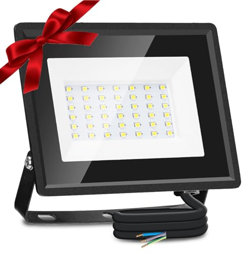 Aigostar Foco LED Exterior 30W 2510LM, Proyector Impermeable IP65, 42 LED, 6500K Blanco Frío Para Garaje, Jardín, Patio, Parque