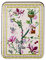 Cath Kidston Story Tree-Manicure Set in Dose - Handcreme 50ml, Nagelhautcreme 15ml, Emery Board, Nagelknipser, komplette Nagelpflege, 245g (1er Pack)