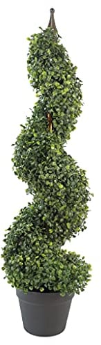Leaf Design UK Buxus - Alberi a spirale in legno di bosso, 90 cm, Buxus