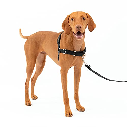 PetSafe Easy Walk Hundegeschirr, kein Ziehen, das ultimative Geschirr hilft, das Ziehen zu stoppen, übernehmen Sie die Kontrolle und Lernen Sie bessere Leinenmaner, mittelgroß, anthrazit/schwarz