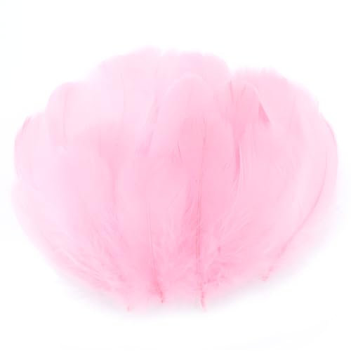 GoldRock 300 Stück Rosa Federn zum Basteln,Federn Basteln Pastel 6-13cm,Flauschig Bastelfedern Klein,Deko Indianer Federn Diy Kopfschmuck Traumfänger,Natürliche Feathers für Halloween, Karneval,Ostern