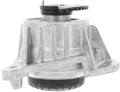 Corteco 49374307 - Lagerung, Motor