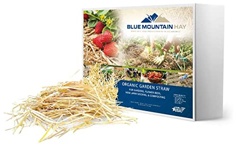 Organic Garden Straw (25 lb) | Blue Mountain Hay | Straw Mulch for Raised Bed Gardens, Yard Landscaping, New Lawn Grass Seed Plantings, Tomato & Vegetable Mulch | Covers up to 375 sq ft