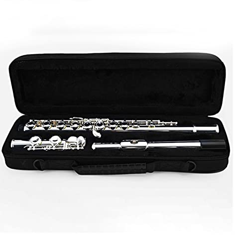 Flötenmusikinstrument C-Taste 16-Loch-Flöte Mit Geschlossener Taste Grundschul-Blasinstrument Flöteninstrument