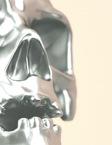 Skull Art Sketchbook for Artists, Students, and Humans_8.5x11