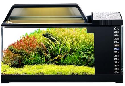Fischtank -Kit - LED Leuchtete Aquarium Starter -Set, Kompaktes Wassertankfiltersystem | Kleine Desktop -Fischlebensraum Für Home Tisch, F Klarer Wassertank Für Betta Tetra Goldfischzubehör Betrachten