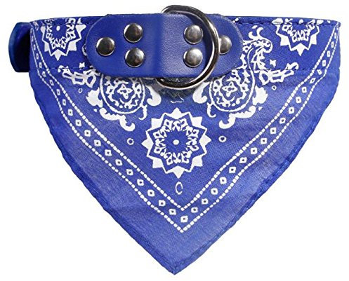 Newtensina Mode Hundebandana Halsband HundeHalsband Junge Mittel Bandana Hündchen Bandana mit Halsband für Hunde - Deep Blue - M