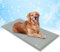Angelpet Dog Cooling Mat, L 90x50cm – Non-Toxic Self-Cooling Gel Mat, Long-lasting Waterproof Pet Cool Pad for Dogs & Cats in Summer, No Water or Refrigeration Needed (Grey)