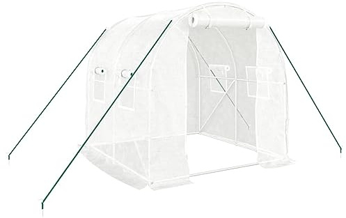 Tomostar Serre de Jardin Tunnel, Serre de Jardin avec Cadre en Acier Blanc 4 m² 2x2x2 m