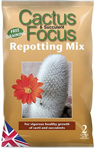 Online Garden Centre GT Cactus & Succulent Focus Repotting Mix Mix Compost 2 Litre (2)
