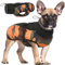 Wasserdichter Hundemantel Winter Warme Hundejacke, Hundebekleidung Outfit für kleine mittel große Hunde, Hundepullover mit Sicheren Reflexstreifen für Labrador Chihuahua Französische Bulldogge