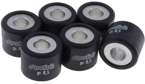 Variomatikgewichte POLINI 20x17mm - 8,5g