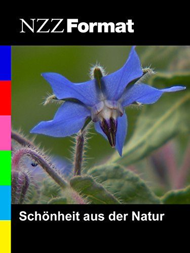 NZZ Format - Schönheit aus der Natur