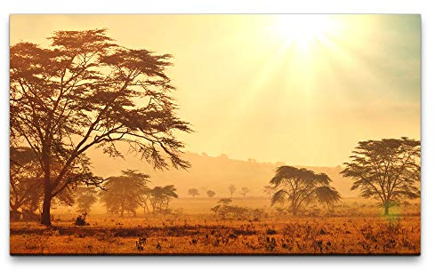 Paul Sinus Art Bilder XXL Afrika Landschaft 120x70cm Wandbild auf Leinwand