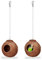 Relaxdays Vogelhaus 2er Set, aus Kokosschale, HxBxT 14 x 12,5 x 12 cm, Vogelnest, Wellensittiche & Kanarienvögel, Natur