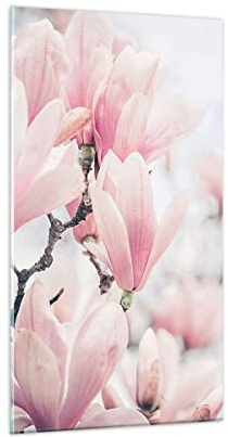 Bilder auf Glas Magnolie Blumen Rosa Glasbild 45x80cm Wandbilder Dekoration Wohnzimmer Schlafzimmer Küche Deko Klein Wanddeko Bild im Glas Wand Kunstdruck Art Modern Wall Decor Glasdruck GPA45x80-4396