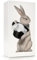 Spextrum® Taschentuchbox mit Wonder Rabbit – skurrile endlose magische Illusion mit jedem Spender – niedlicher Begleiter zum fliegenden Rock Taschentuchbox – Metallbeschwertes Innengehäuse – entworfen