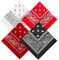 LIURFLNC 4 Stück Bandana, Herren & Damen, Multifunktional mit Paisley Muster