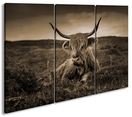 deyoli Leinwandbild Ein pelziges Rind steht inmitten einer schottischen Landschaft Format: 120x80cm (3Teilig) Effekt:Sepia XXL Kunstdruck Bild auf Holzrahmen/Wandbild/Wohnzimmer Dekoration