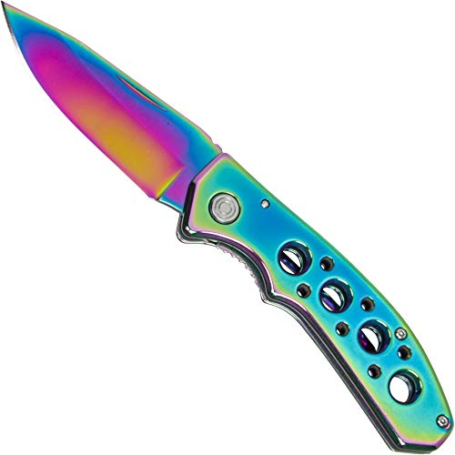 Budoten Haller Taschenmesser Rainbow 8,5 cm Edelstahl Klinge, Regenbogenfarben Griff, Liner Lock, 85 mm, Faltbar, Unisex, Wiederverwendbar