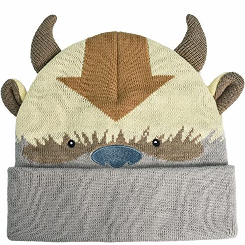 Concept One Unisex-Erwachsene Avatar The Last Airbender Appa Strickmütze aus Acryl mit Manschette Beanie-Mütze, Multi, Einheitsgröße