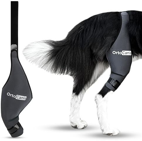 Ortocanis - Genouillère pour Chien - pour Patte Arrière Droite - Fabriquée en Néoprène ARD - pour Déchirure du LCA, Lésions Ligamentaires - Taille Large (32-36 cm)