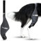 Ortocanis - Genouillère pour Chien - pour Patte Arrière Droite - Fabriquée en Néoprène ARD - pour Déchirure du LCA, Lésions Ligamentaires - Taille Large (32-36 cm)