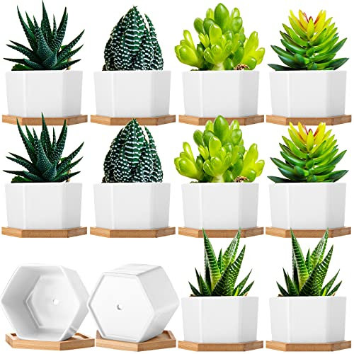 Meanplan 12 Pack Small Succulent Plant Pots Bulk White Ceramic Plant Pots with Bamboo Saucers Hexagon Flower Plant Pot with Drainage Holes for Indoor Outdoor Succulent Flower Plant Cactus Herb (4)