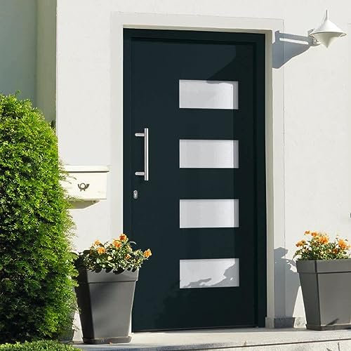 INLIFE Puerta de entrada de aluminio y PVC, antracita, 100 x 200 cm, 64,83 kg, 3056827