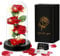 TAVADA Rosa Eterna,Kit de Rosas,Elegante Cúpula de Cristal con Base Pino Luces LED y 1 Tarjeta de Felicitación,Beauty and Regalos Magicos Decoración para Día de San Valentín Aniversario Bodas