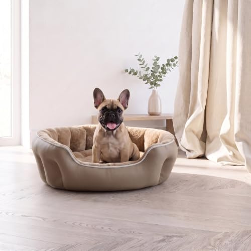 Sogni E Capricci Bett für Hunde und Katzen, Beige, 48 x 42 x 16 cm