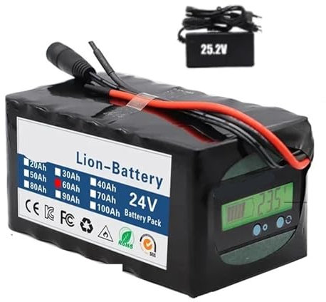 WVGFAUXA Batteria al Litio, Batteria al Litio Ricaricabile 24V 6S4P 100Ah for Bicicletta Elettrica Ebike con Indicatore di capacità E Caricabatterie BMS(60Ah Battery-Charger)