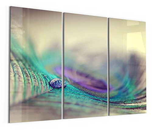 DEQORI Glasbilder Acrylglas | Motiv Wasserperle auf Feder | horizontal 3-teilig 150x100 cm | große XXL Deko | Wandbilder für Wohnzimmer, Schlafzimmer, Flur & Küche | moderne Wanddeko