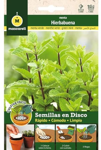 Mascarell Semillas, HIERBABUENA, Cultiva Fácil, Crea tu Propio Huerto en Casa, Contiene 3 Discos de 8 CM