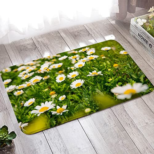 In/Outdoor Teppich, Fußmatte Innen 60X90cm Weiß Gelb Grün Gänseblümchen Muster für Stark Frequentierte Bereiche Außerhalb des Hauses
