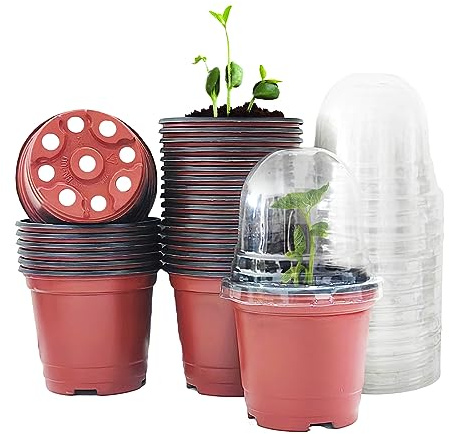 RooTrimmer Anzuchttöpfe pflanztöpfe blumentopf Hochwertige Gartensaatplatten 4 Zoll 25er Set mit Transparenten Feuchtigkeitshauben für Effektive Keimung und Pflanzenaufzucht mit Drainage Holes