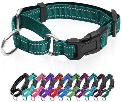Reflektierendes Martingale-Hundehalsband, Hundehalsband mit Schnellverschluss-Schnalle, Verstellbares, weich gepolstertes, atmungsaktives Nylon-Haustierhalsband, geeignet für Welpen für kleine,