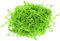 Taotenish Confeti de papel arrugado triturado de rafia para caja de regalo, relleno de paja seca, regalos - verde fluorescente