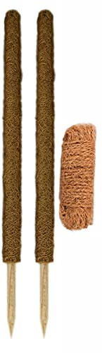 Novatool Rankhilfe 80 cm Befestigungsset I Kokosgarn 25m natürliche Kokosfaser I Kokosstab Monstera Mosstab